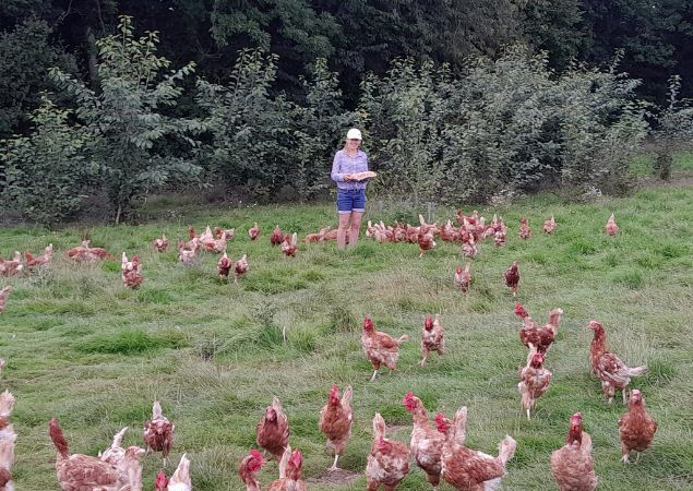 les couvées de brullemail