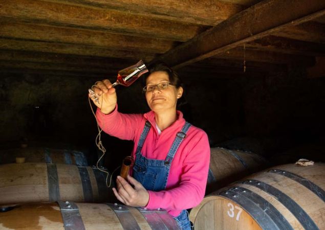 les vergers de la morinière